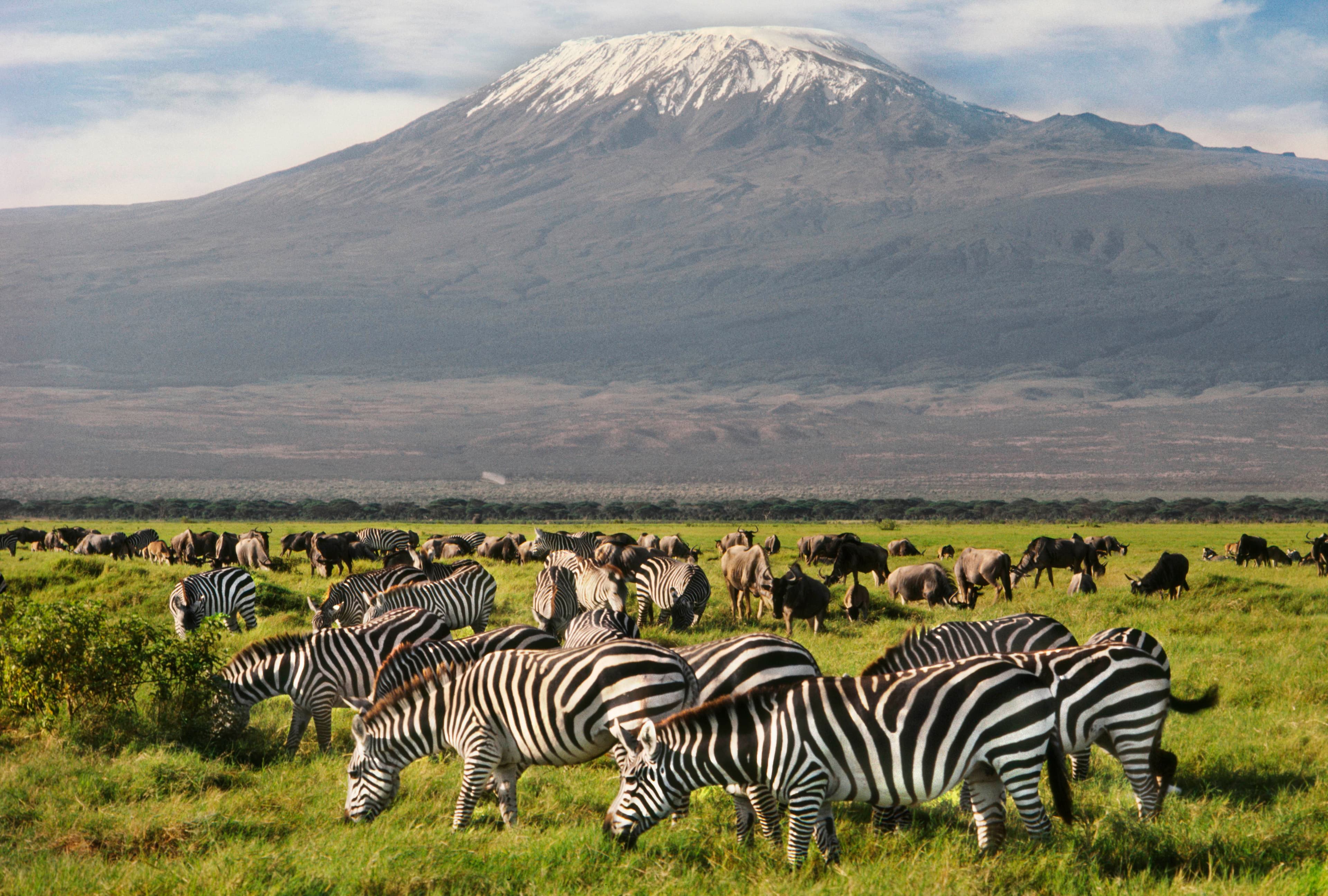 Image of Amboseli National Park