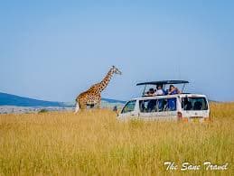 Gallery image 2 for Maasai Mara National Reserve