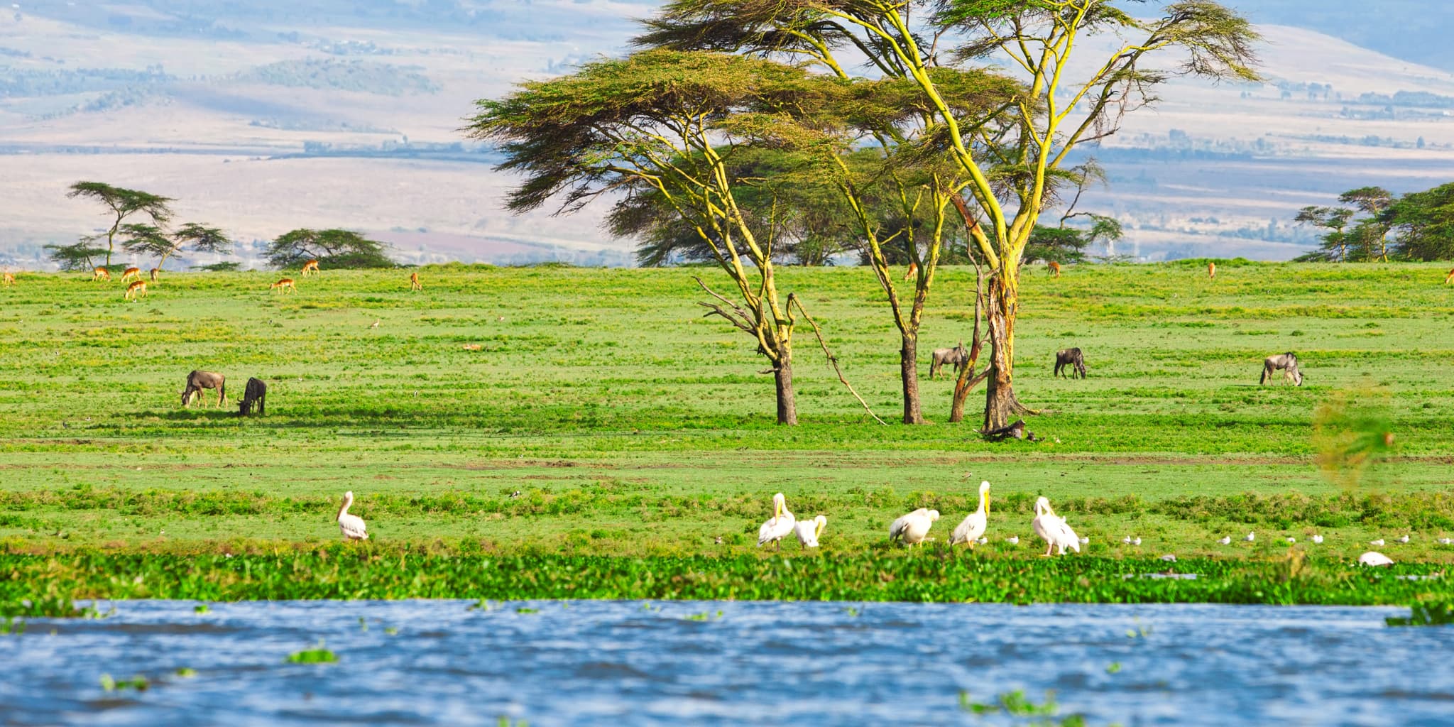 Gallery image 1 for Lake Naivasha & Environs