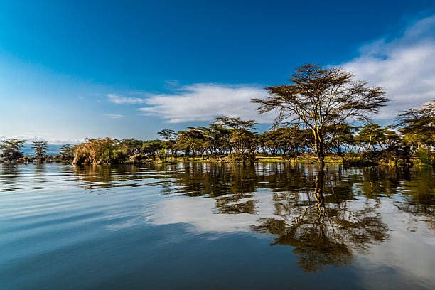 Hero image for Lake Naivasha & Environs