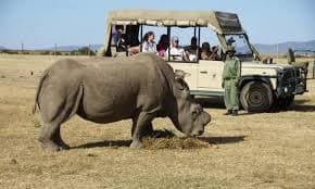 Gallery image 1 for Ol Pejeta Conservancy