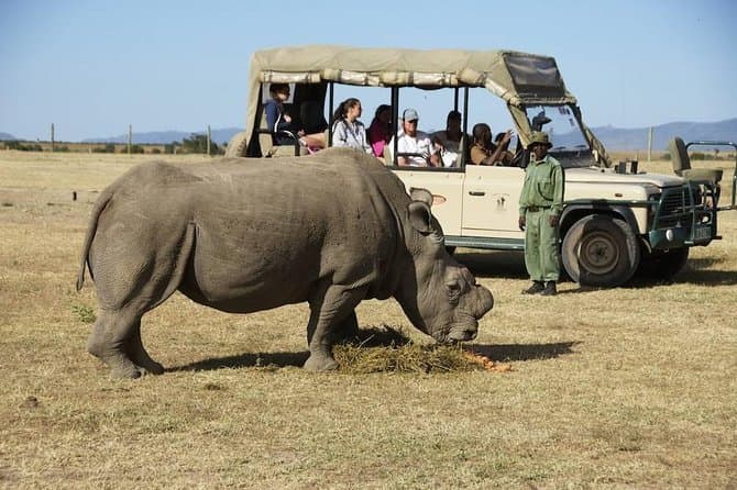 Image of Ol Pejeta Conservancy