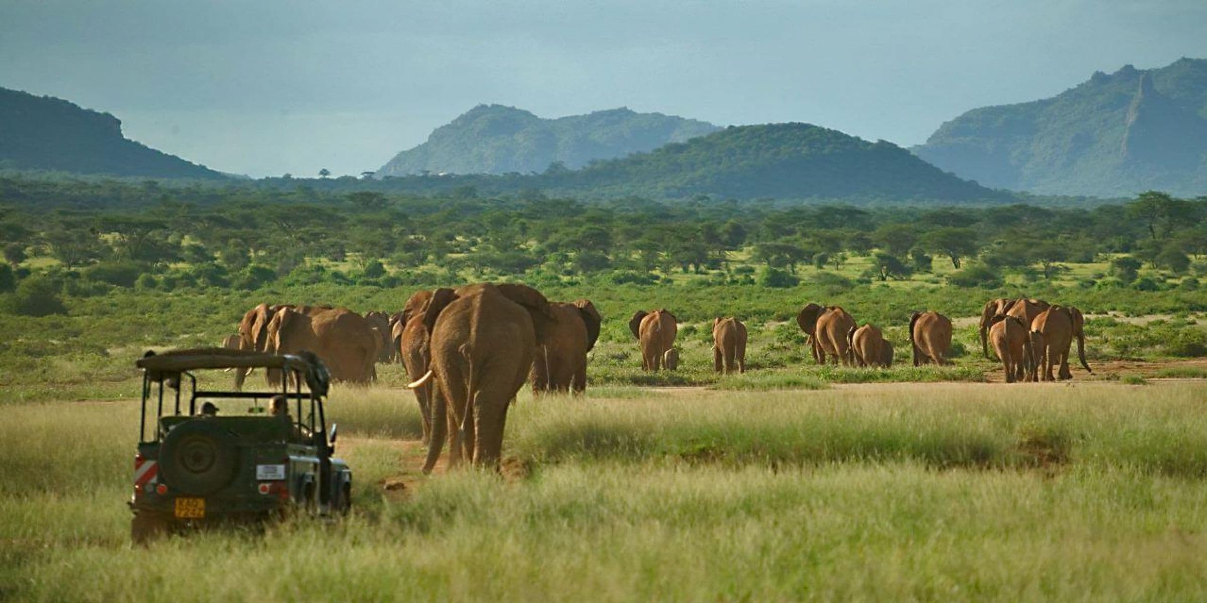 Image of Samburu National Reserve