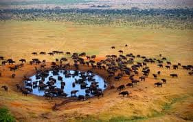 Gallery image 1 for Tsavo National Park