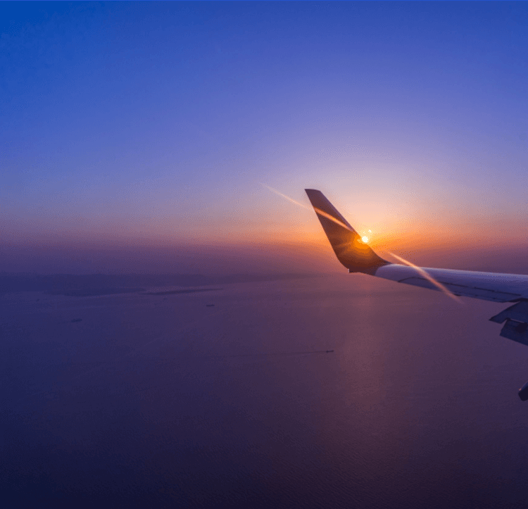 Airplane wing view