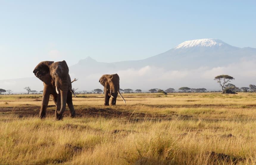 Scenic Kenyan Landscape for About Us