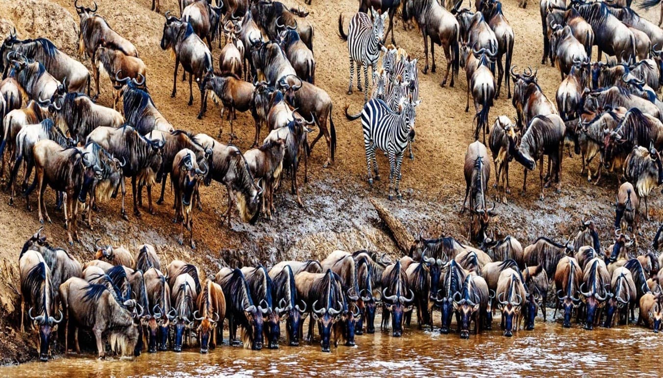 Image for Photography & Wildlife Expedition